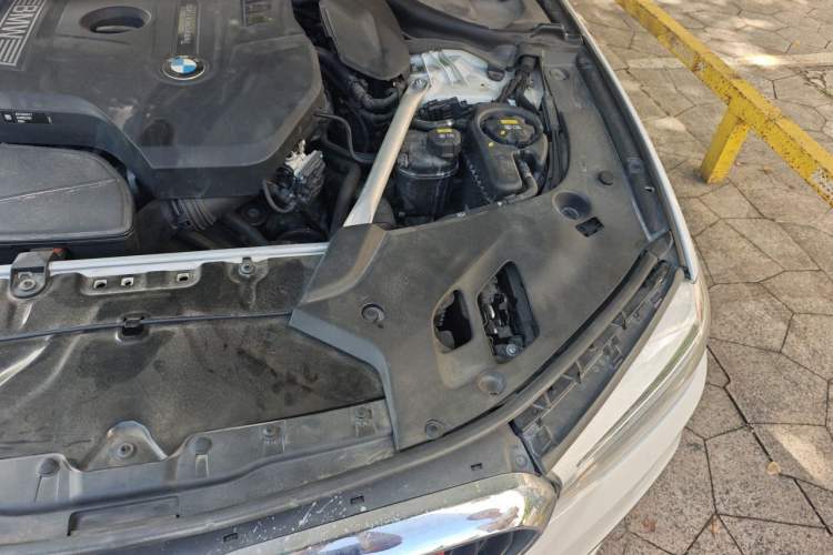 Used BMW 5 Series 2019 Restyled 530Li Luxury Edition M Sport Package Engine Bay Left