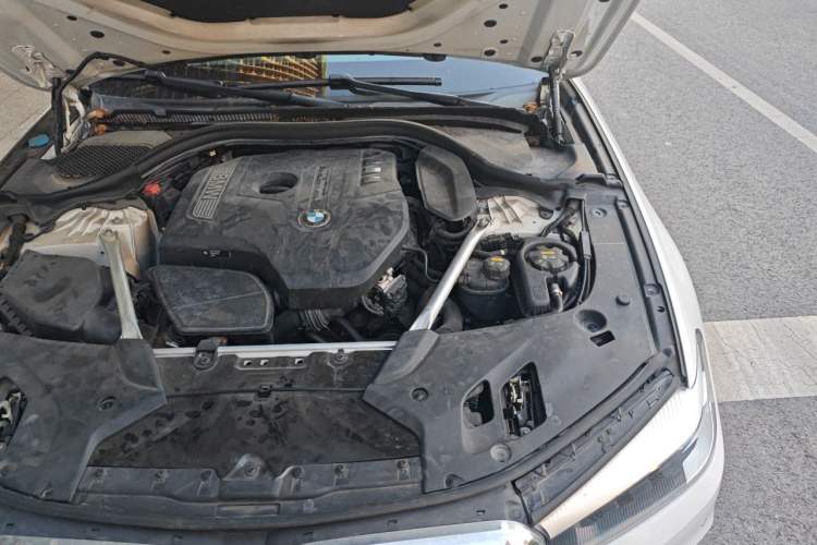 Used BMW 5 Series 2019 Facelifted 525Li Luxury Package Engine Bay Left