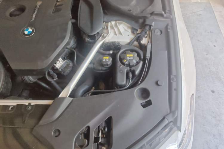 Used BMW 5 Series 2019 530Li Luxury Edition Premium Package Engine Bay Left