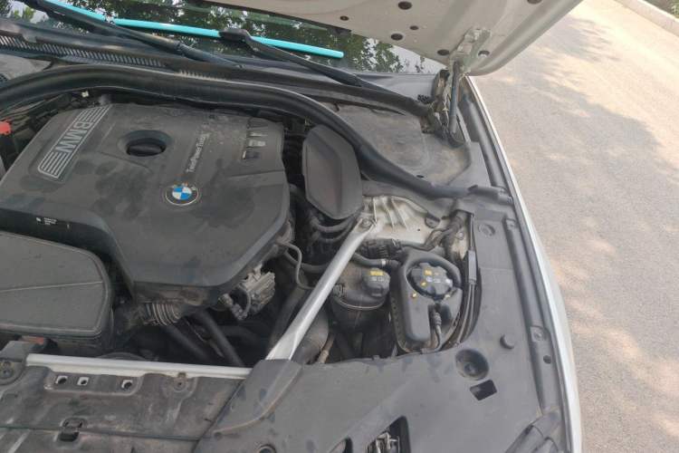 Used BMW 5 Series 2019 Facelifted 530Li Leading Edition M Sport Package Engine Bay Left