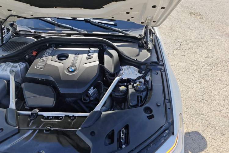 Used BMW 5 Series 2019 Restyled 530Li Luxury Edition M Sport Package Engine Bay Left