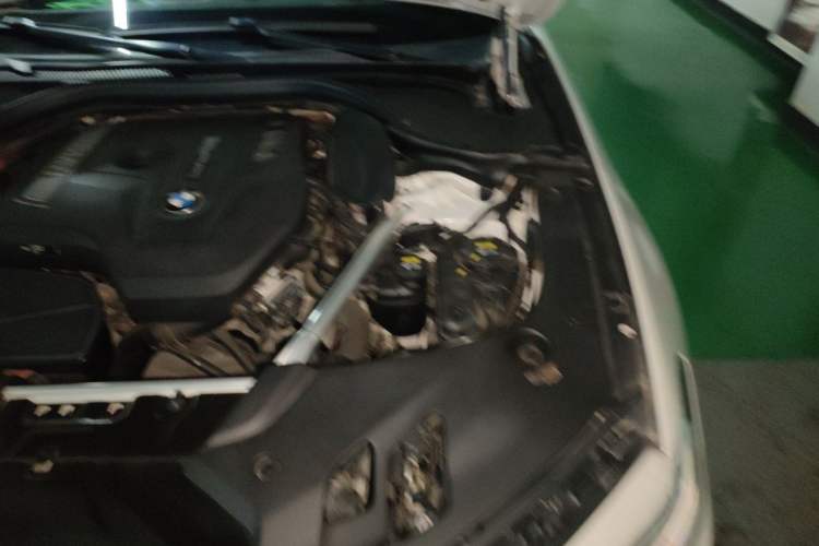 Used BMW 5 Series 2019 530Li xDrive M Sport Package Engine Bay Left