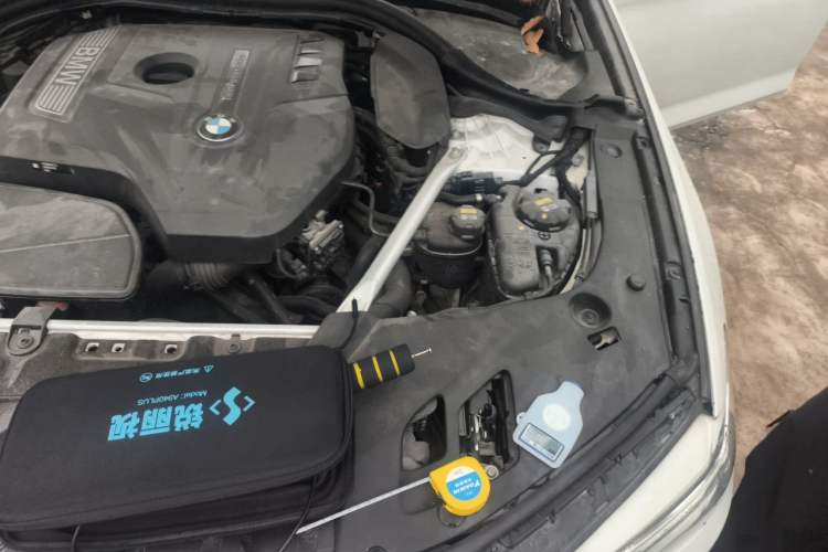 Used BMW 5 Series 2019 530Li Luxury Edition Premium Package Engine Bay Left