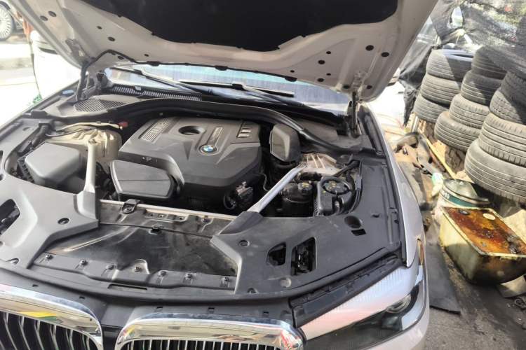 Used BMW 5 Series 2019 530Li Leading Model Luxury Package Engine Bay Left