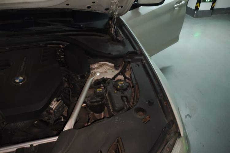 Used BMW 5 Series 2019 530Li Leading Model M Sport Package Engine Bay Left