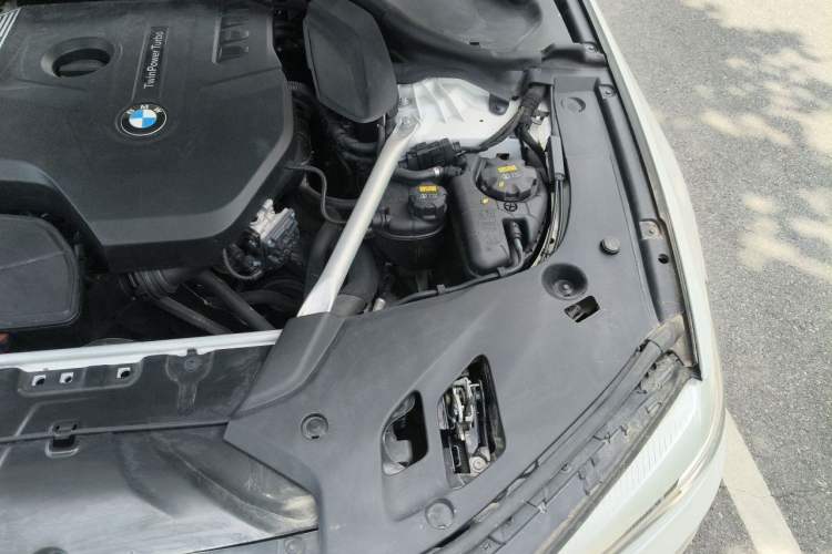 Used BMW 5 Series 2019 Facelifted 530Li Leading Edition Luxury Package Engine Bay Left
