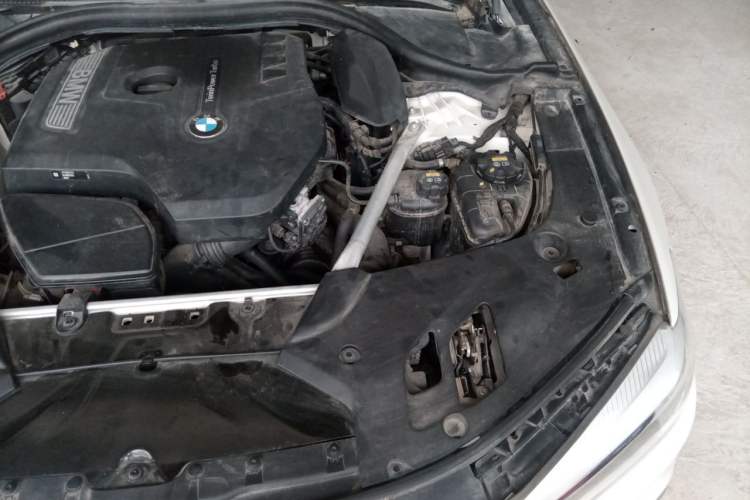 Used BMW 5 Series 2019 Facelifted 530Li Leading Edition M Sport Package Engine Bay Left