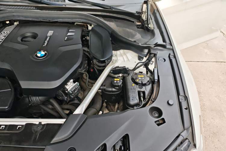 Used BMW 5 Series 2019 525Li Luxury Package Engine Bay Left