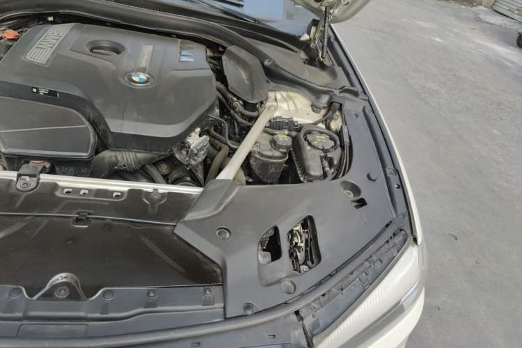 Used BMW 5 Series 2019 Facelifted 530Li Leading Edition M Sport Package Engine Bay Left