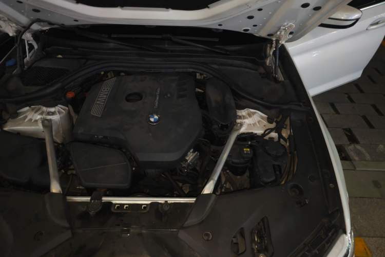Used BMW 5 Series 2019 530Li Luxury Edition Premium Package Engine Bay Left