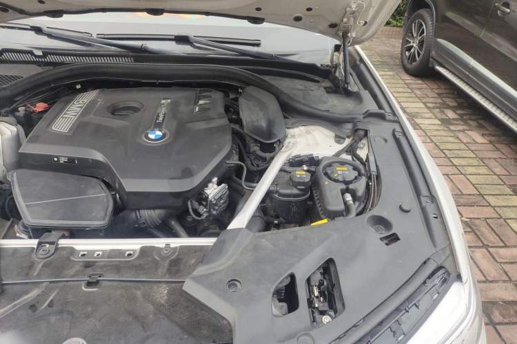 Used BMW 5 Series 2019 530Li Luxury Edition Premium Package Engine Bay Left