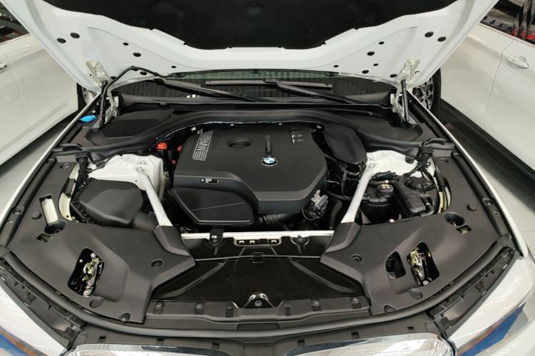 Used BMW 5 Series 2019 Facelifted 530Li Leading Edition Luxury Package Engine Bay