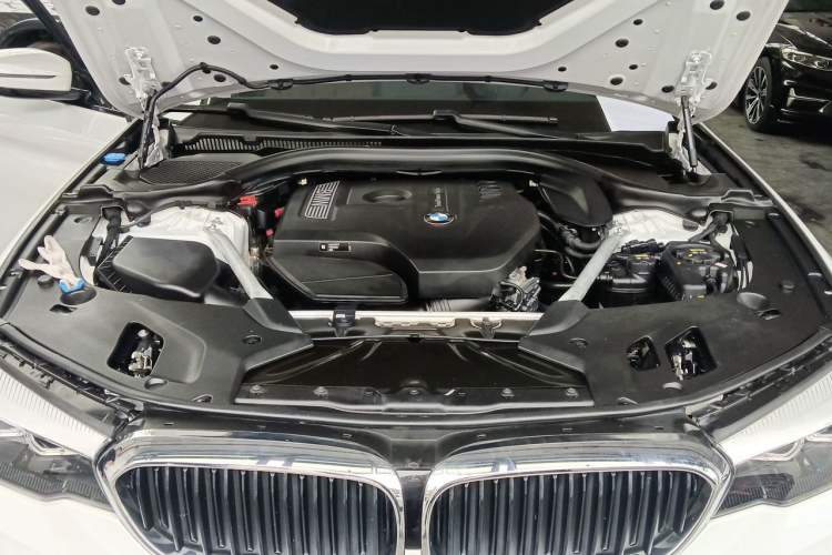 Used BMW 5 Series 2019 530Li Leading Model M Sport Package Engine Bay