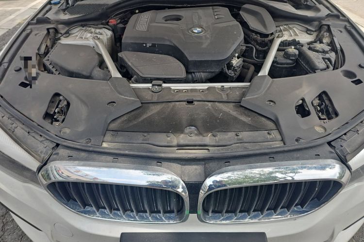Used BMW 5 Series 2019 530Li xDrive M Sport Package Engine Bay
