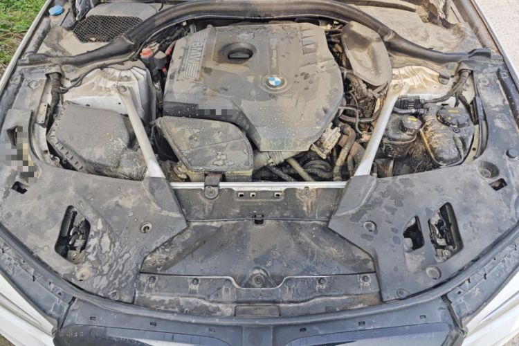 Used BMW 5 Series 2019 530Li Leading Model M Sport Package Engine Bay