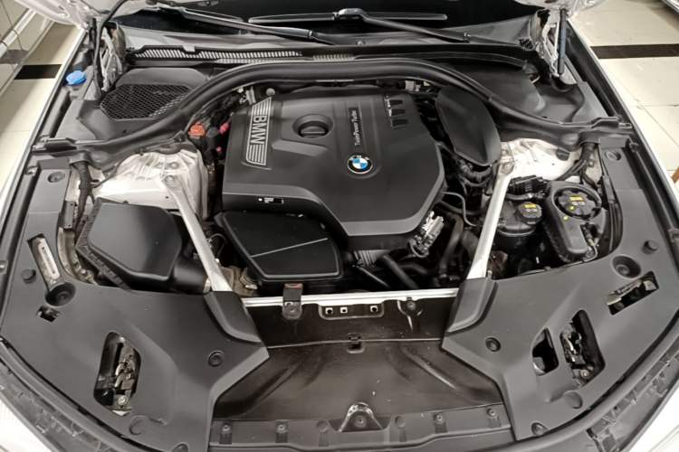 Used BMW 5 Series 2019 530Li Leading Model Luxury Package Engine Bay
