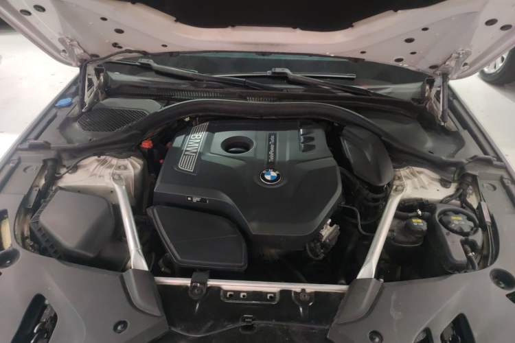 Used BMW 5 Series 2019 530Li Leading Model M Sport Package Engine Bay