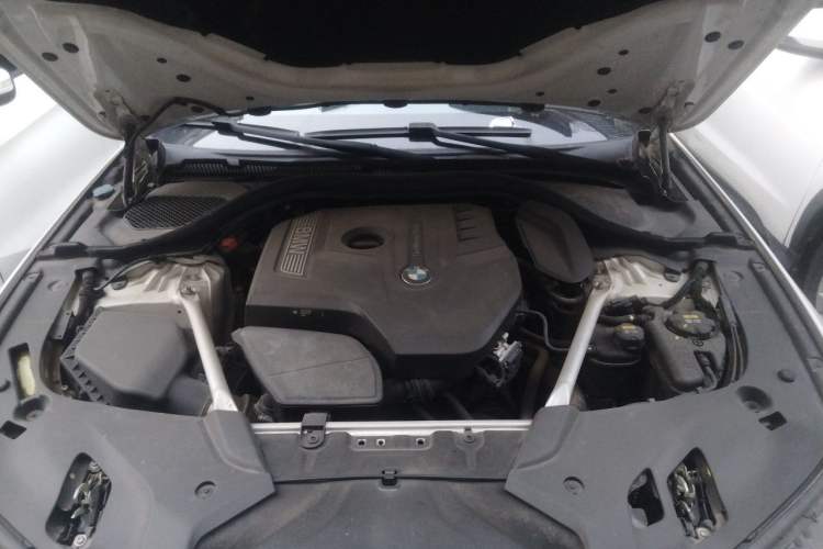 Used BMW 5 Series 2019 530Li Leading Model M Sport Package Engine Bay