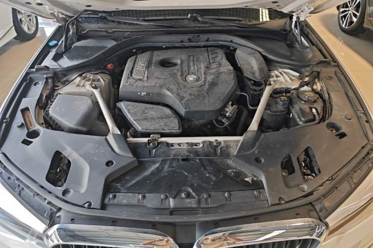 Used BMW 5 Series 2019 530Li Leading Model M Sport Package Engine Bay