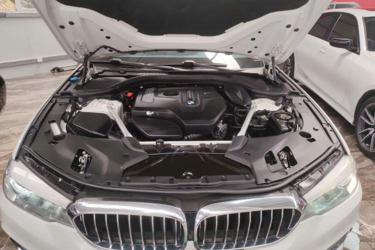 Used BMW 5 Series 2019 Facelifted 530Li Leading Edition Luxury Package Engine Bay