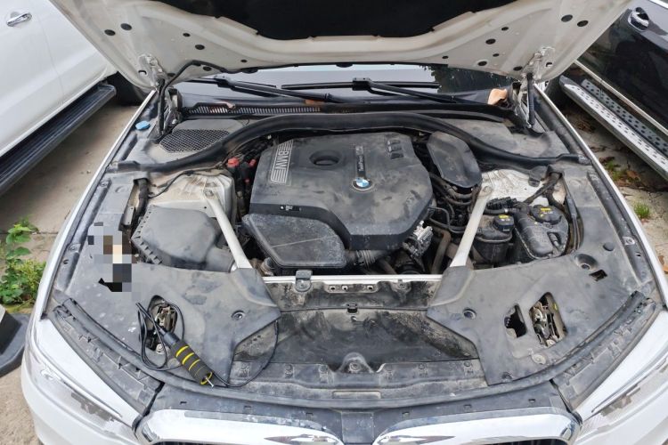 Used BMW 5 Series 2019 Restyled 530Li Luxury Edition M Sport Package Engine Bay