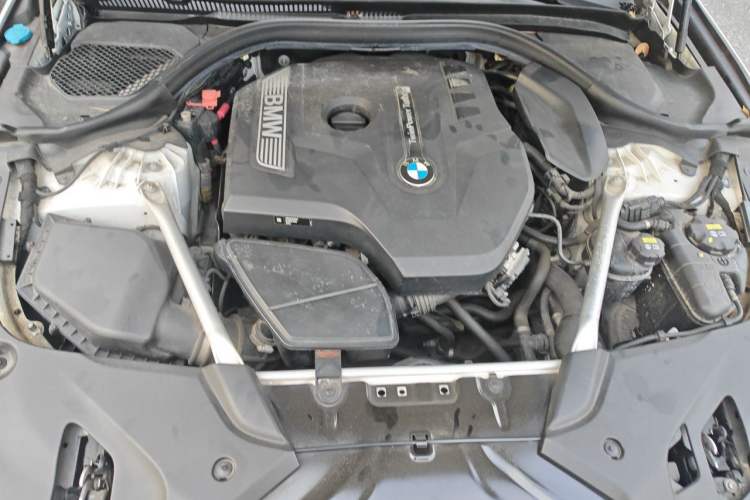 Used BMW 5 Series 2019 530Li xDrive M Sport Package Engine Bay