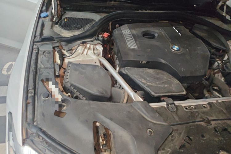 Used BMW 5 Series 2019 525Li Luxury Package Engine Bay Right
