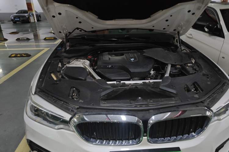 Used BMW 5 Series 2019 530Li Luxury Edition M Sport Package Engine Bay Right