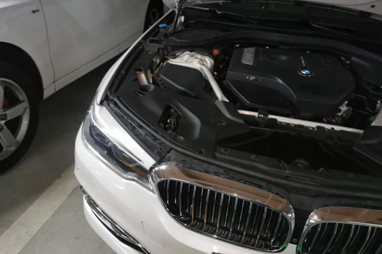 Used BMW 5 Series 2019 530Li Luxury Edition Premium Package Engine Bay Right