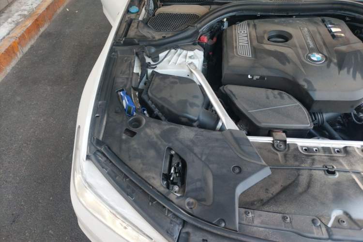Used BMW 5 Series 2019 530Li Luxury Edition Premium Package Engine Bay Right