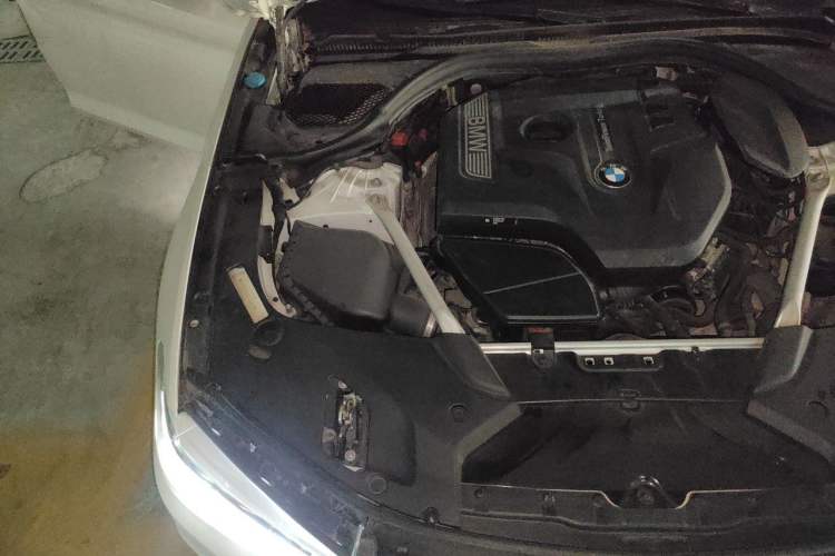 Used BMW 5 Series 2019 Facelifted 530Li Luxury Edition Premium Package Engine Bay Right