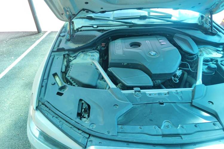 Used BMW 5 Series 2019 525Li Luxury Package Engine Bay Right