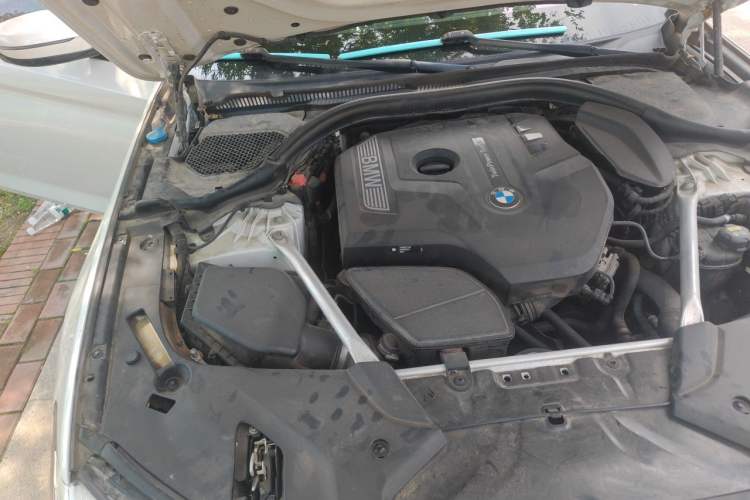 Used BMW 5 Series 2019 Facelifted 530Li Leading Edition M Sport Package Engine Bay Right