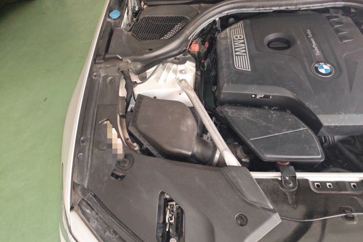Used BMW 5 Series 2019 Facelifted 530Li Luxury Edition Premium Package Engine Bay Right
