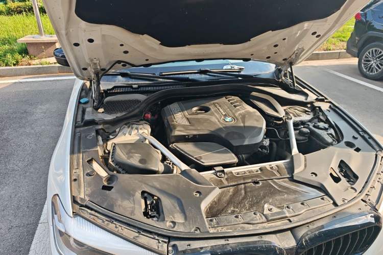 Used BMW 5 Series 2019 530Li Leading Model M Sport Package Engine Bay Right