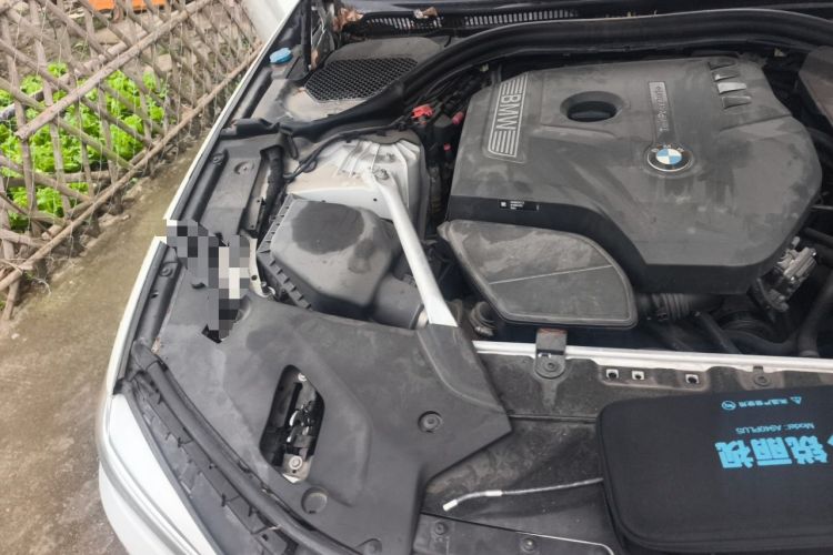 Used BMW 5 Series 2019 530Li Luxury Edition Premium Package Engine Bay Right