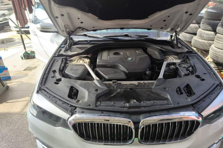 Used BMW 5 Series 2019 530Li Leading Model Luxury Package Engine Bay Right