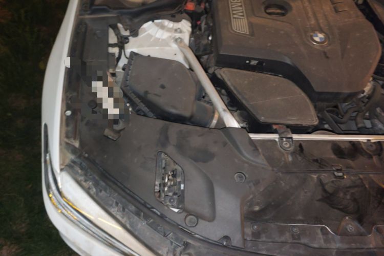 Used BMW 5 Series 2019 Facelifted 530i M Sport Package Engine Bay Right