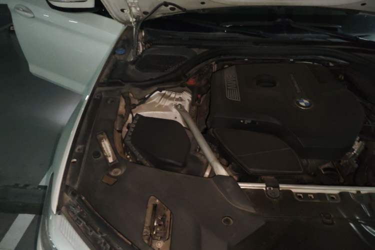 Used BMW 5 Series 2019 530Li Leading Model M Sport Package Engine Bay Right