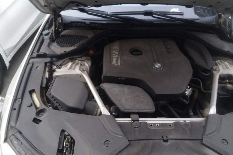 Used BMW 5 Series 2019 530Li Leading Model M Sport Package Engine Bay Right