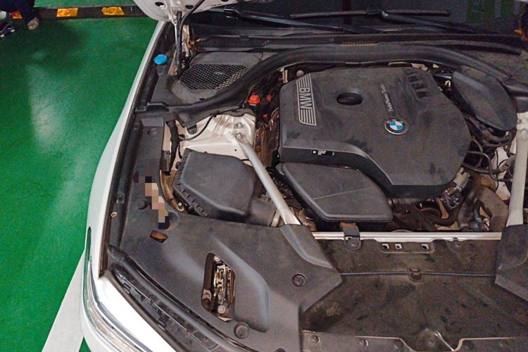 Used BMW 5 Series 2019 Facelifted 530Li Luxury Edition Premium Package Engine Bay Right