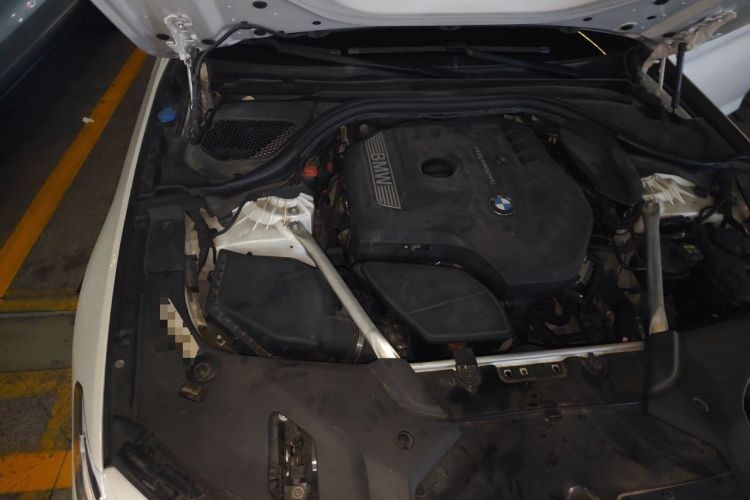 Used BMW 5 Series 2019 530Li Luxury Edition Premium Package Engine Bay Right