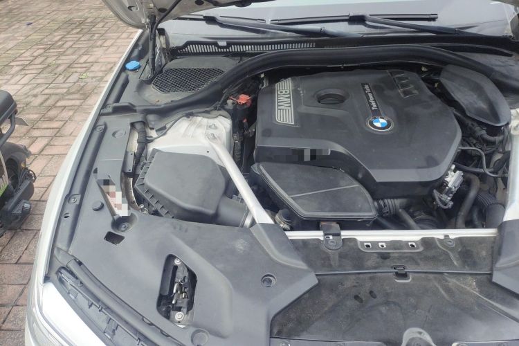Used BMW 5 Series 2019 530Li Luxury Edition Premium Package Engine Bay Right