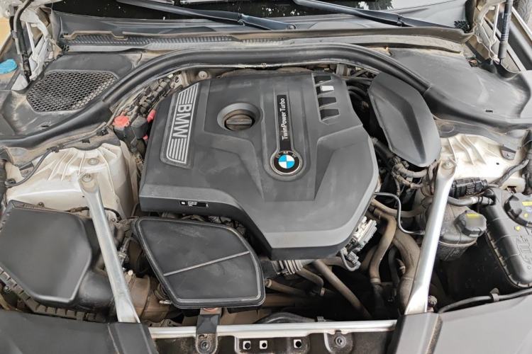 Used BMW 5 Series 2019 Restyled 530Li Luxury Edition M Sport Package Engine Bay