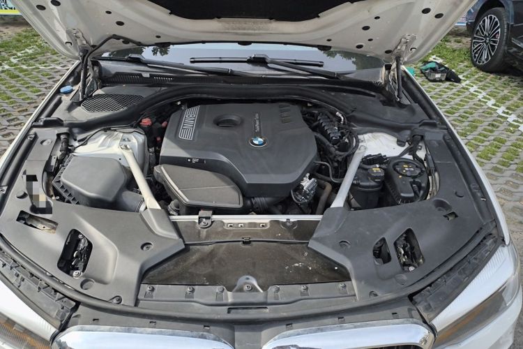 Used BMW 5 Series 2019 530Li Leading Model M Sport Package Engine Bay