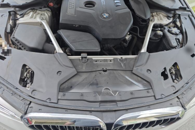 Used BMW 5 Series 2019 Facelifted 530Li Leading Edition Luxury Package Engine Bay
