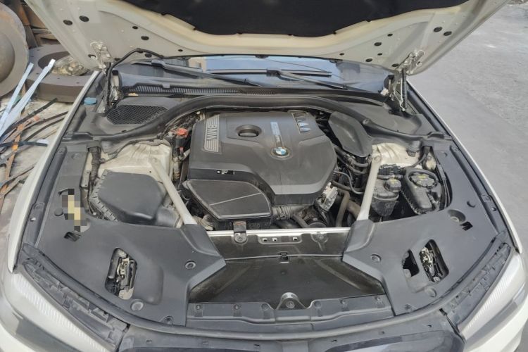 Used BMW 5 Series 2019 Facelifted 530Li Leading Edition M Sport Package Engine Bay