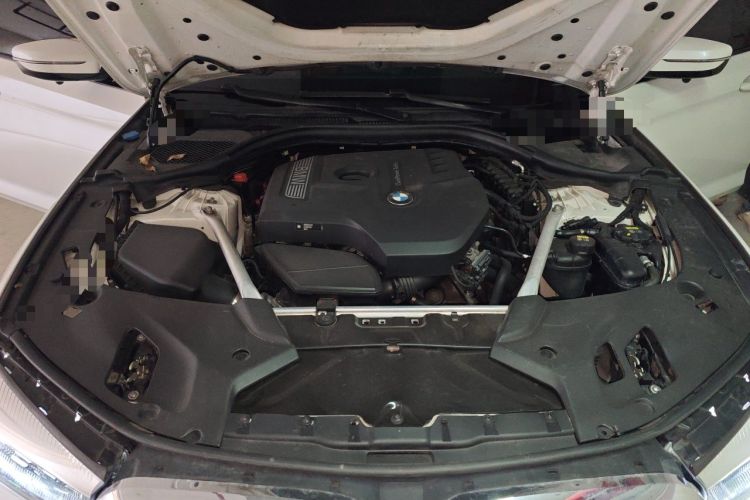 Used BMW 5 Series 2019 Facelifted 530Li Leading Edition M Sport Package Engine Bay