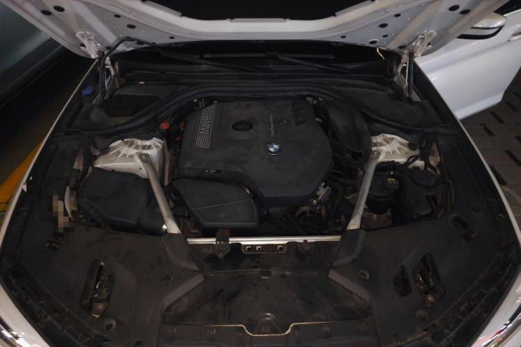 Used BMW 5 Series 2019 530Li Luxury Edition Premium Package Engine Bay