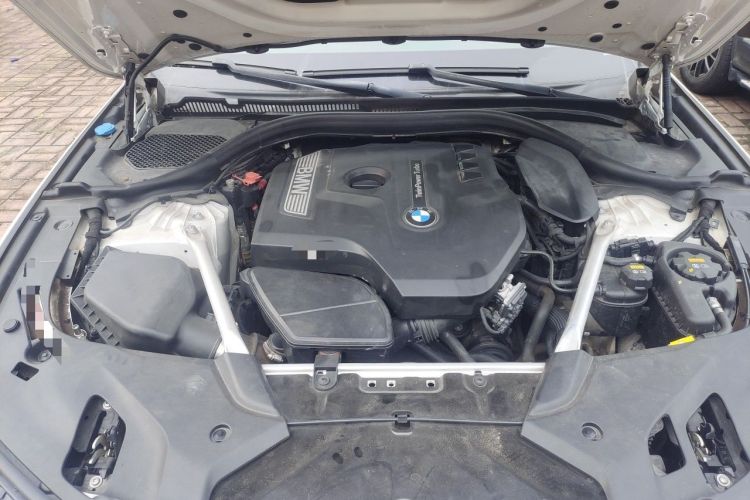 Used BMW 5 Series 2019 530Li Luxury Edition Premium Package Engine Bay